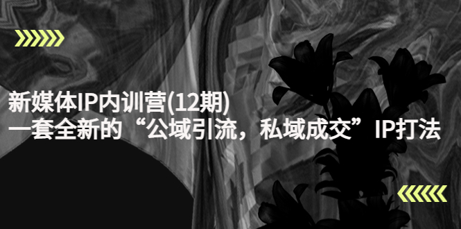 (4103期)新媒体IP内训营(12期),一套全新的“公域引流,私域成交”IP打法,直接带走