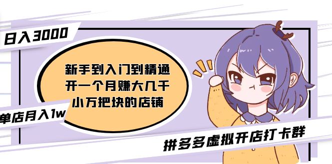 (5023期)拼多多虚拟开店打卡群:入门到精通(昨日群里有小伙伴日入3000+)2月26更新
