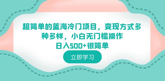 (6422期)超简单的蓝海冷门项目,变现方式多种多样,小白无门槛操作日入500+很简单